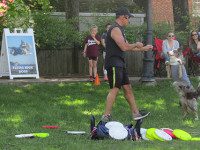 Dog show leaves audience in awe