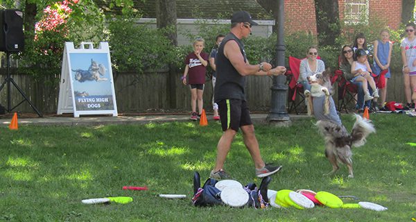 Dog show leaves audience in awe