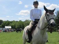 Norfolk Hunt Club hosts stunning show