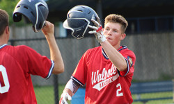 Donato’s gem lifts Walpole Legion