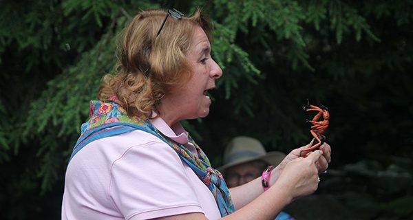 Caterpillar Club teaches kids about bugs