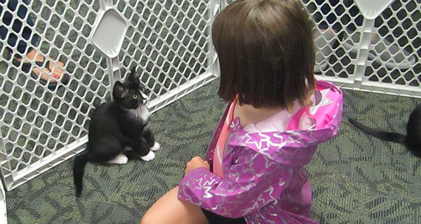 Cora and her new friend enjoy a moment together in the kitten pen. Photos by Amelia Tarallo