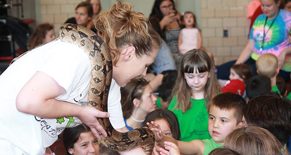 Curious Creatures visit School