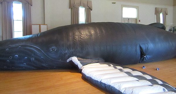 A whale of a time in Sherborn