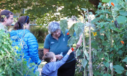 Mass Hort hosting summer family programs