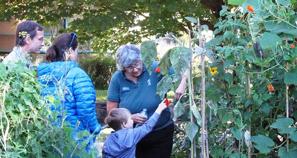 Mass Hort hosting summer family programs