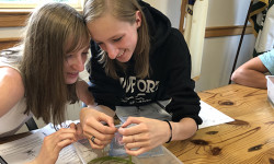 Weed Warriors keep Farm Pond clean