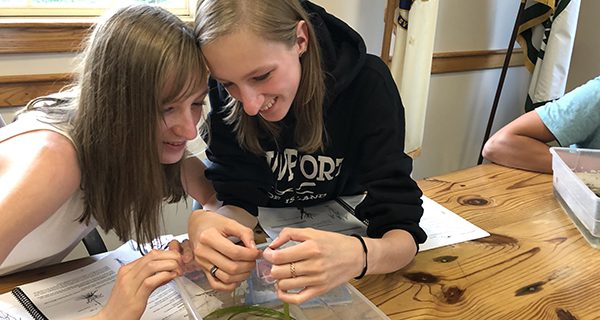Weed Warriors keep Farm Pond clean