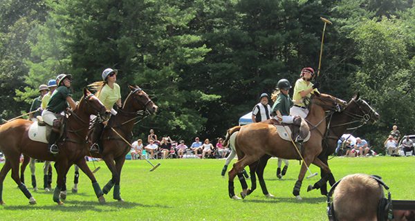 Polo pulls in big crowds
