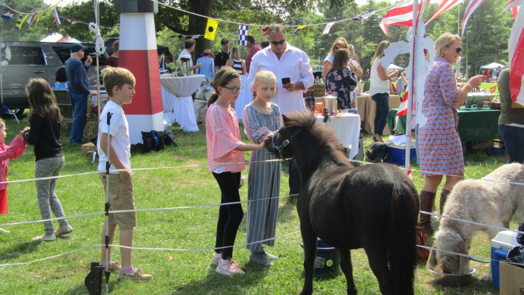 Kids were attracted to Taz, the miniature horse, at his circus themed tailgate.