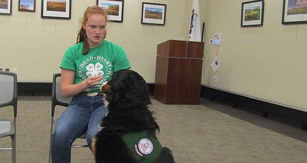 Walpole learns about dog safety