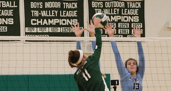 Wolverines please packed bleachers of fans