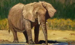 Two Dwight-Derby House artists exhibiting