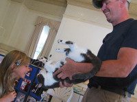 Sherborn, meet Toto