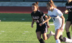 DS handles depleted Wellesley squad