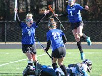 DS takes Division II South