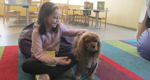 Cody and Neely visit the library
