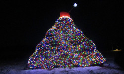 Powisset Farm ignites new holiday tradition