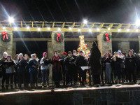 Bird Park lights holiday tree