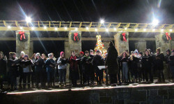 Bird Park lights holiday tree