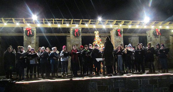Bird Park lights holiday tree