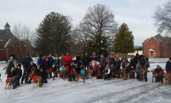 High-energy hounds run at MSH