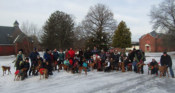High-energy hounds run at MSH