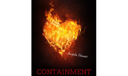 Librarian to release novel