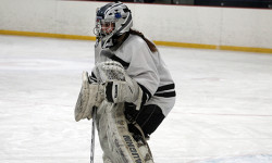 DS girls skate against Norwell