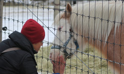 Unity Farm teaches truth about animals