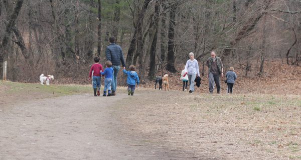 Social distance files: Wellesley’s Centennial Reservation