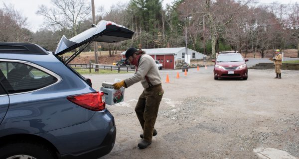 Trustees, Powisset offer online ordering