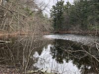 Social Distance Files: ‘Walden’ in Sherborn
