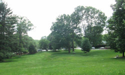 Bio Blitz nature challenge announced