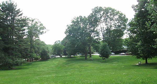 Bio Blitz nature challenge announced