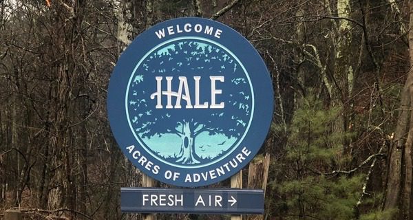 Hale roads, parking lots open