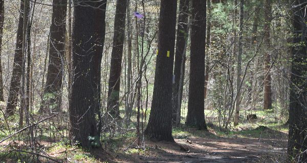 Taking a lap around Jarvis Farm
