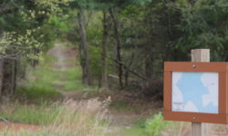 Currier Reservation: Westwood’s hidden, hidden gem