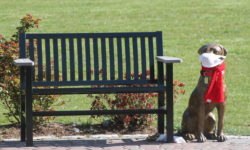 Lockdown means fishing at Buckmaster Pond