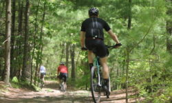 Walking the little-used Mulvehill Trail