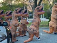 Operation T-Rex brings smiles to Needham