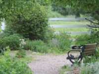 Adams Farm, a social distancing hit