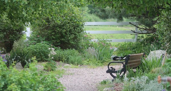 Adams Farm, a social distancing hit