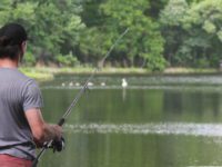 Out and about at Kendrick Pond