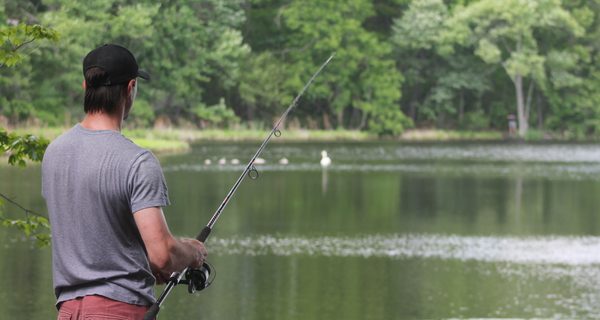 Out and about at Kendrick Pond