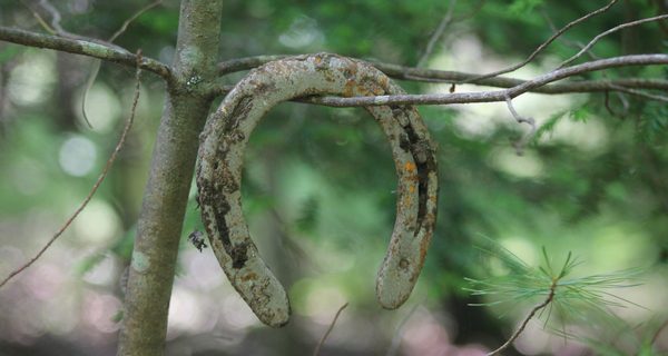 Chase Woodlands allows for social distancing