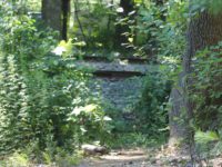 Unnamed trail causes confusion