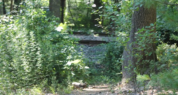 Unnamed trail causes confusion