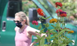 Farmers market opens with restrictions