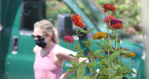 Farmers market opens with restrictions